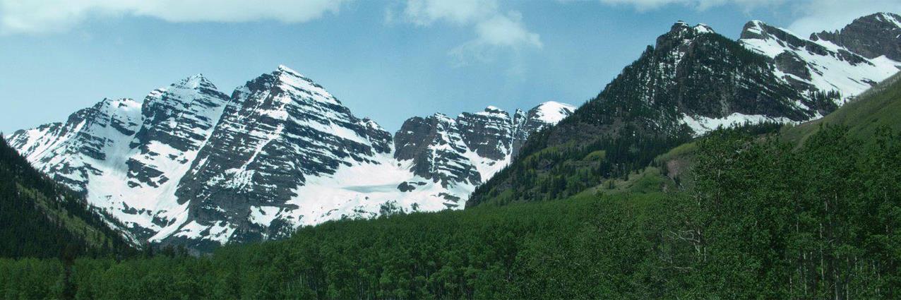 Chris Wallwork banner