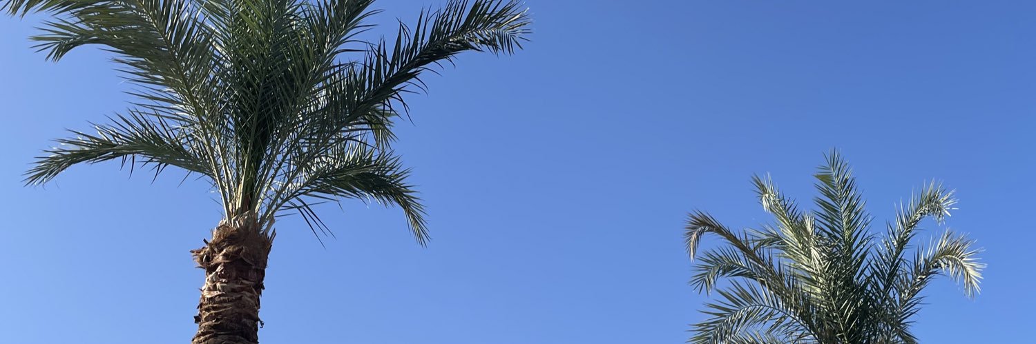 __demss's profile banner image