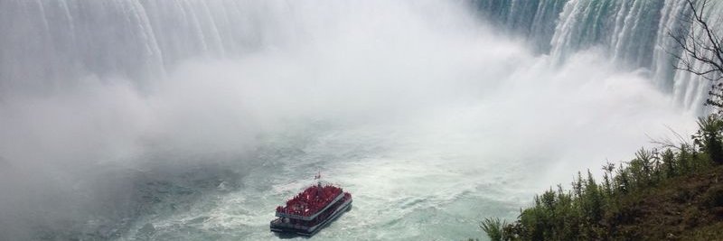 antonialaco00🚨 banner