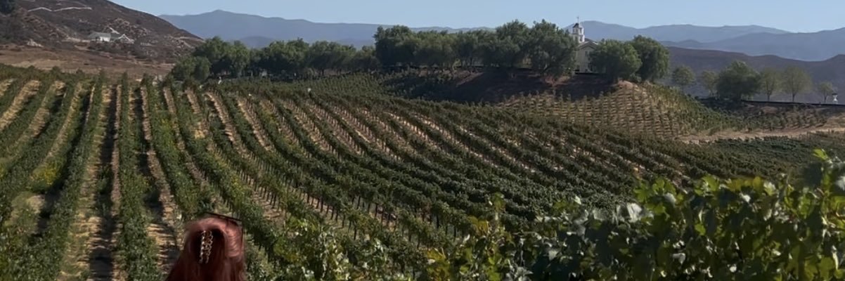 ExquisiteYardie's profile banner image
