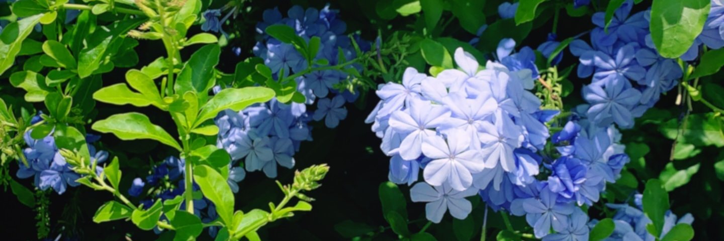 thehaleykramer's profile banner image