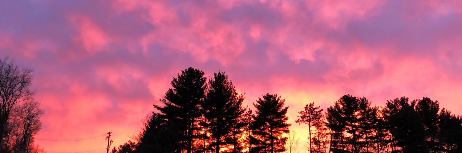 juliawright1297's profile banner image