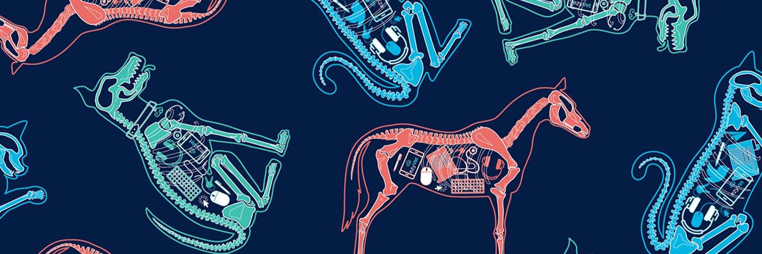 ezyVet banner