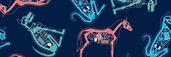 ezyvet Profile Banner