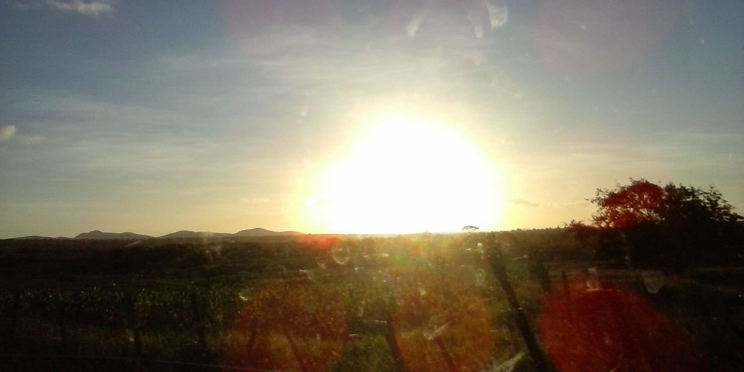 MarlyseSilva's profile banner image