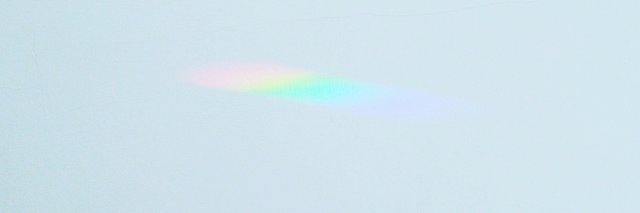 rosetarling's profile banner image