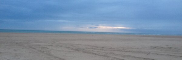 angel_ponf Profile Banner