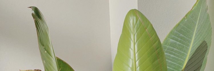 Francojcastror's profile banner image