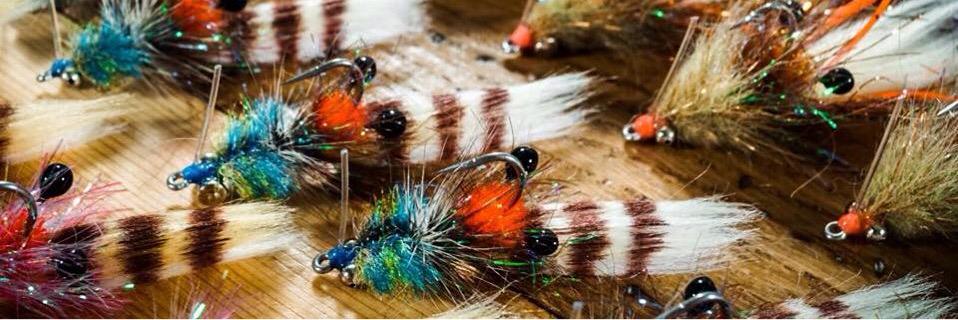 239flies's profile banner image