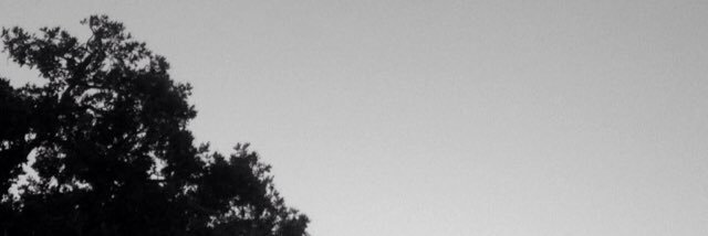 racheldulaney1's profile banner image