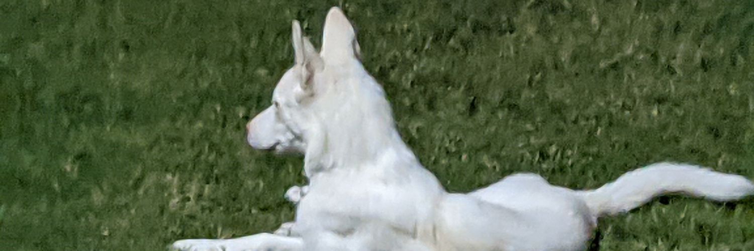 Blazedakid's profile banner image