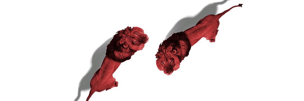 bvleb's profile banner image