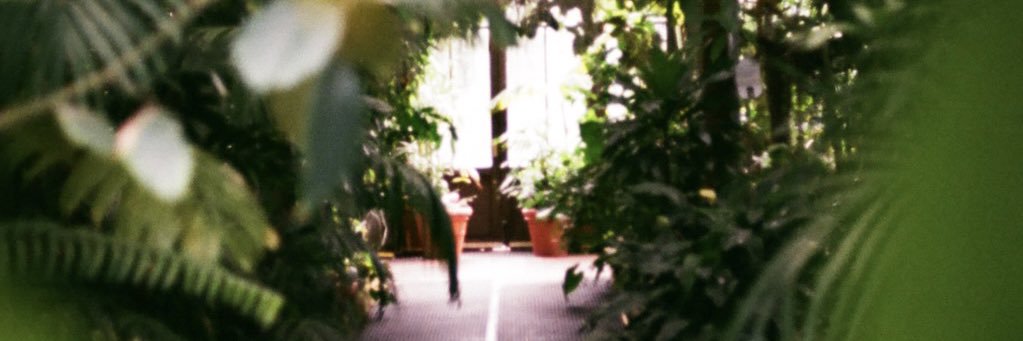 grayylmao_'s profile banner image