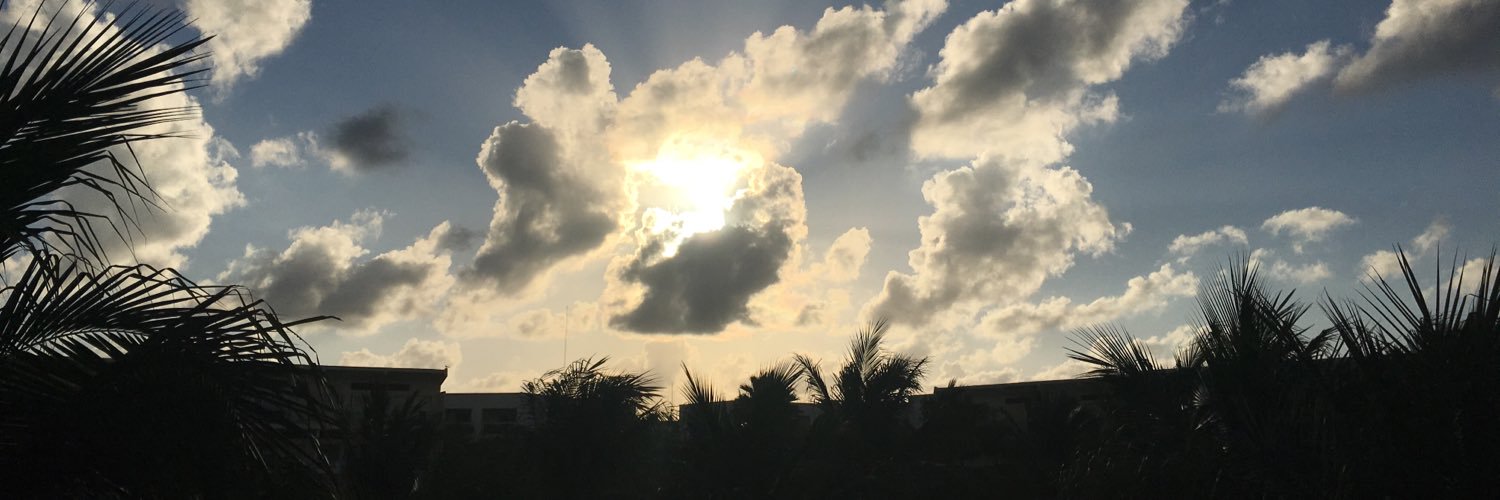 tarryahuja's profile banner image