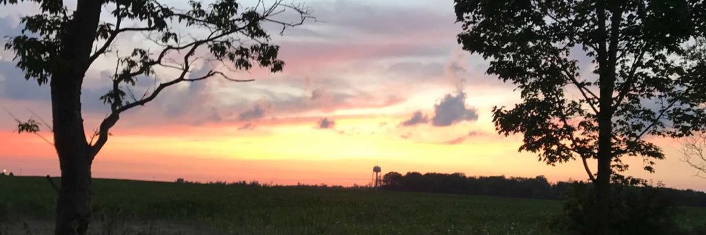 bailey_holmes12's profile banner image