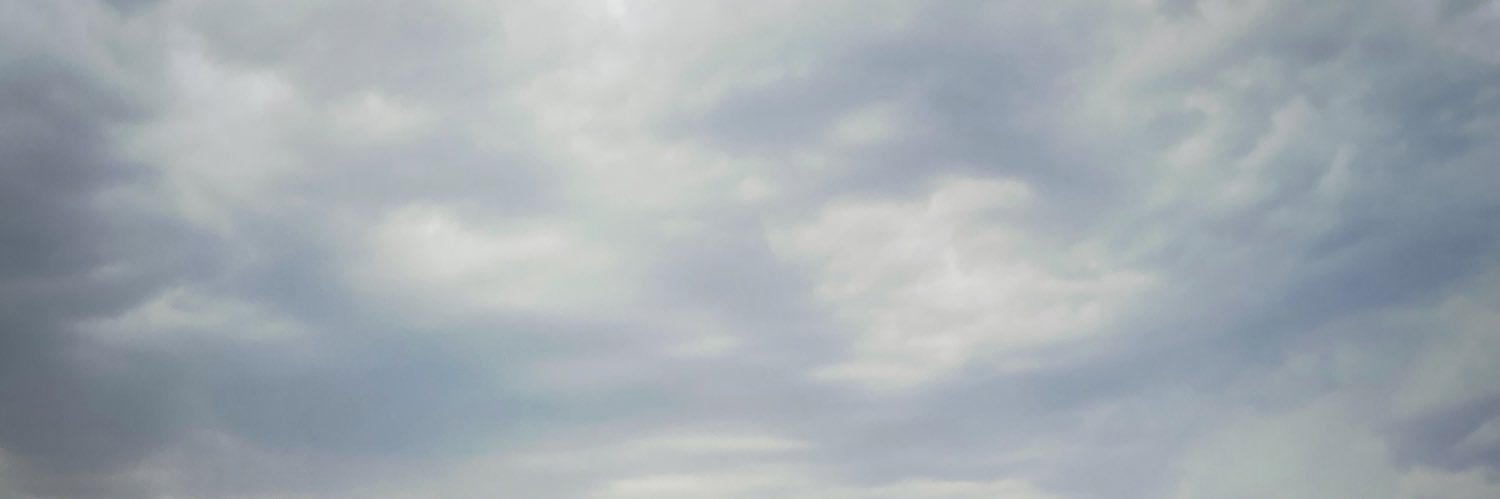 juliewmiller's profile banner image
