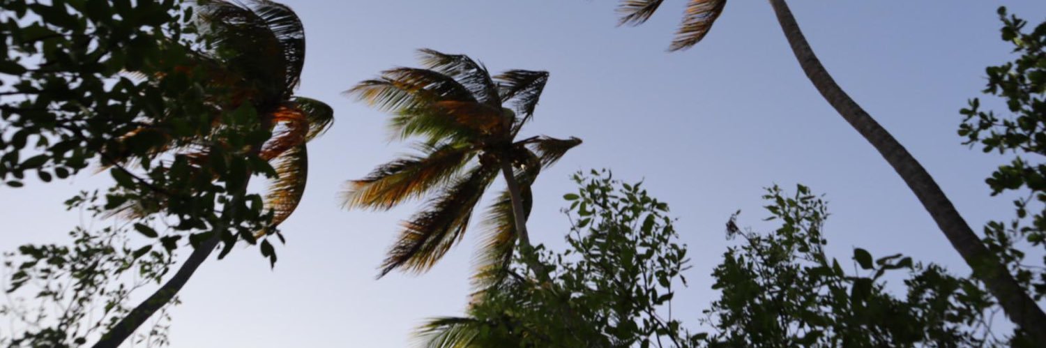 CelioMr_'s profile banner image
