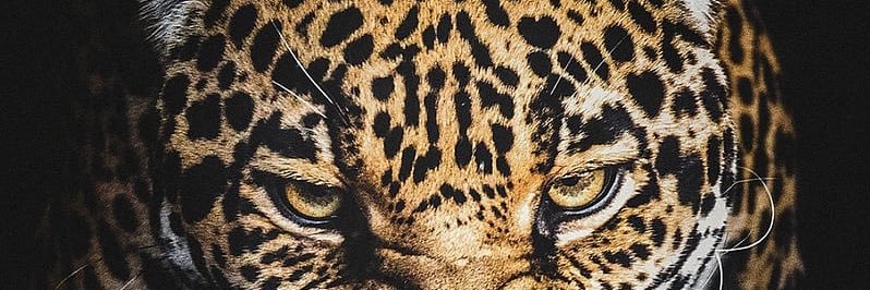 bwillzzzz's profile banner image
