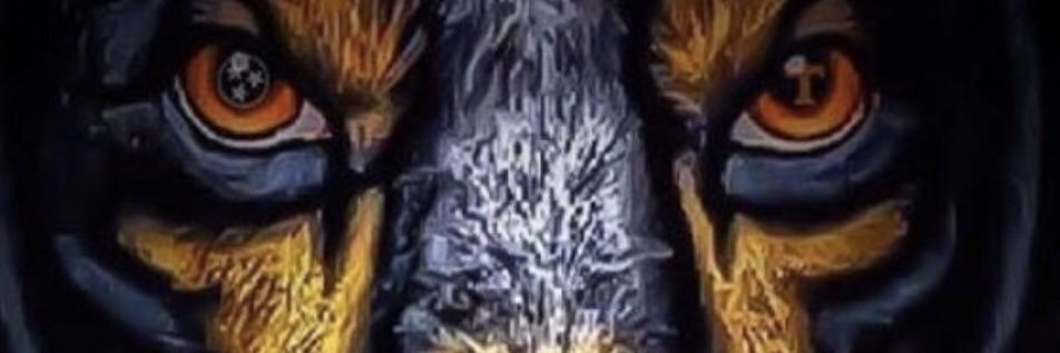 Mike_E11's profile banner image