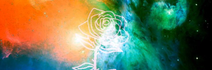 TayTayTurner's profile banner image