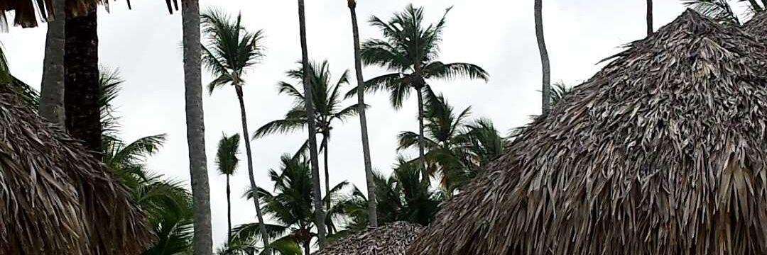 DanieleRosee's profile banner image