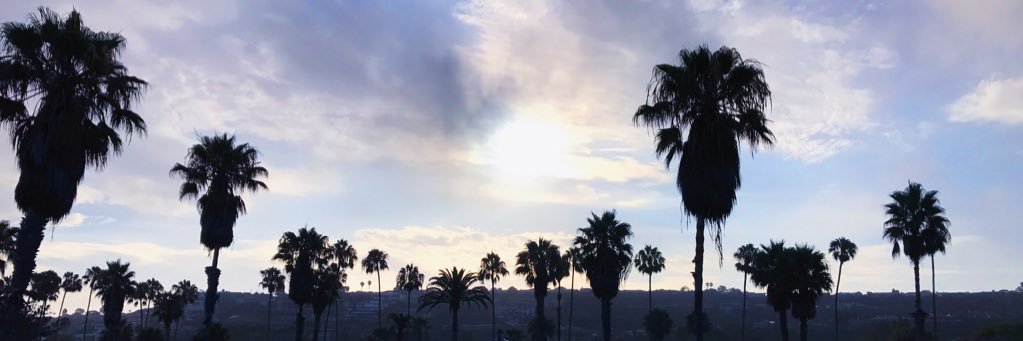AllisonBegley's profile banner image