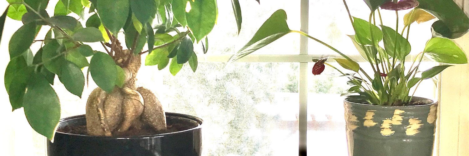 lannyland's profile banner image