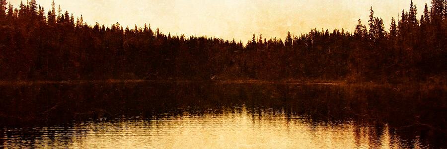 beggarsbrewery's profile banner image
