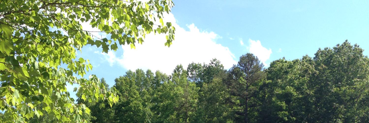 DA__BILZ's profile banner image