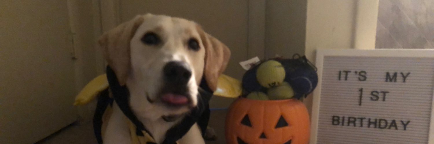 Zachherrick03's profile banner image