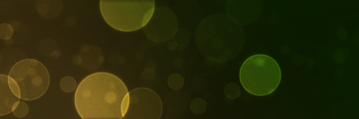 Golf Zuid-Holland banner