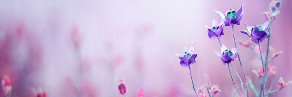 Mony5Jm's profile banner image