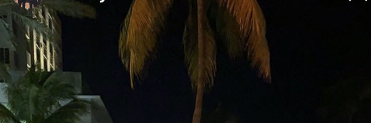 LilRayRaay's profile banner image