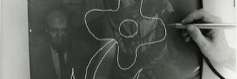 nicoleginelli's profile banner image