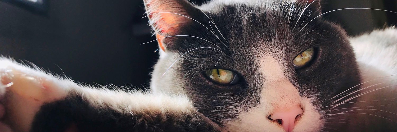 murilloluu's profile banner image