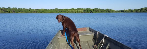 BillBorghoff Profile Banner