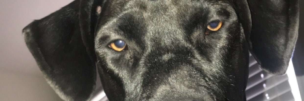 pmadison22's profile banner image
