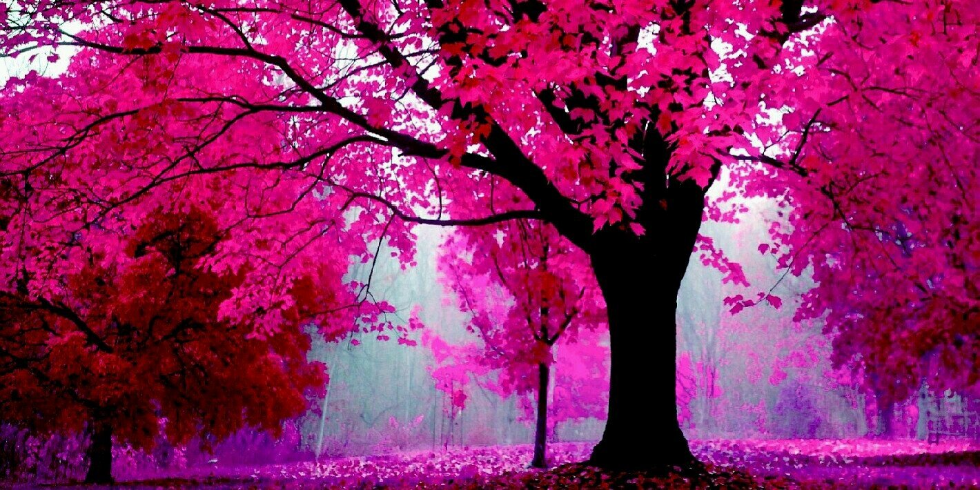 Crystal_1604's profile banner image