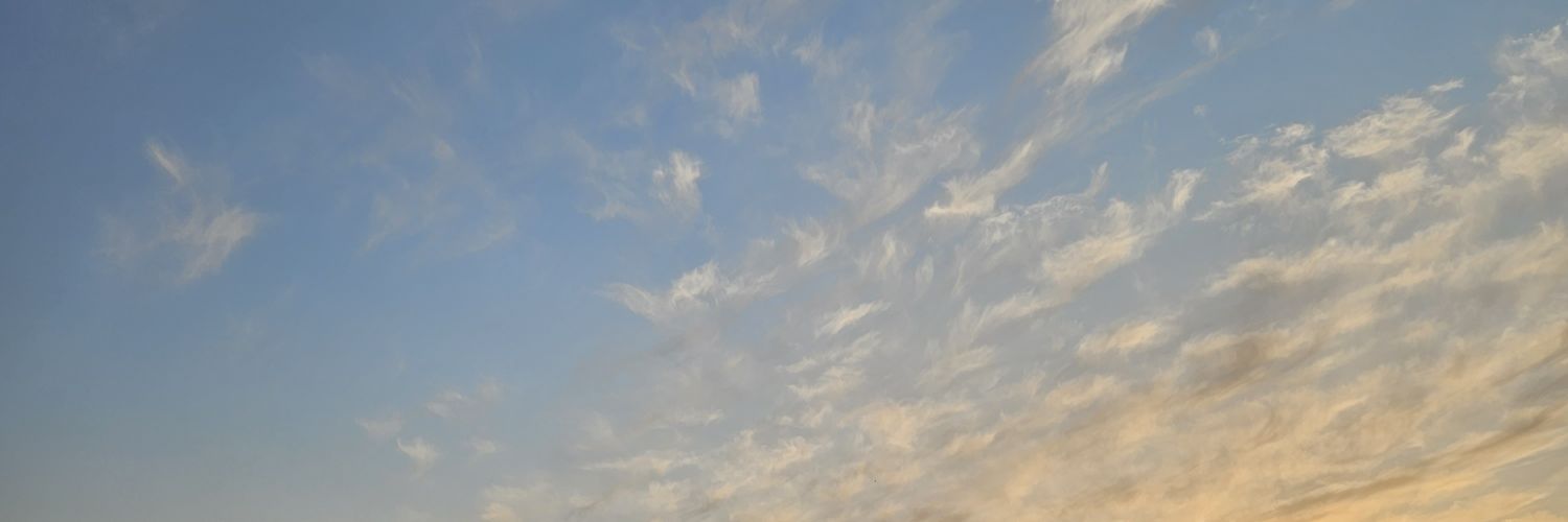 u_lotus's profile banner image