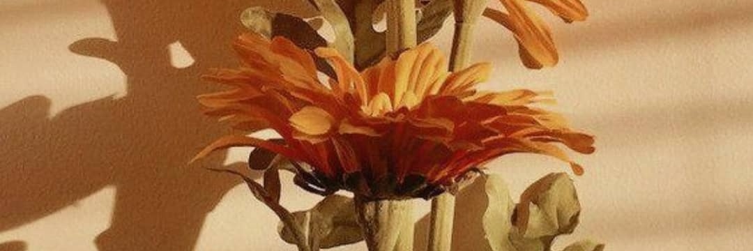 luisabernalC's profile banner image