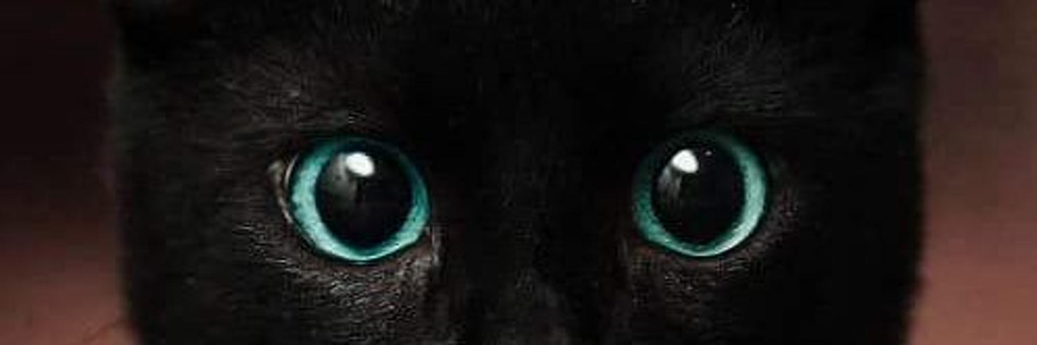 KELIMPERKING's profile banner image