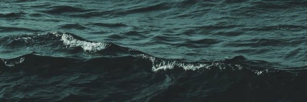 SheWhoWanders95 Profile Banner