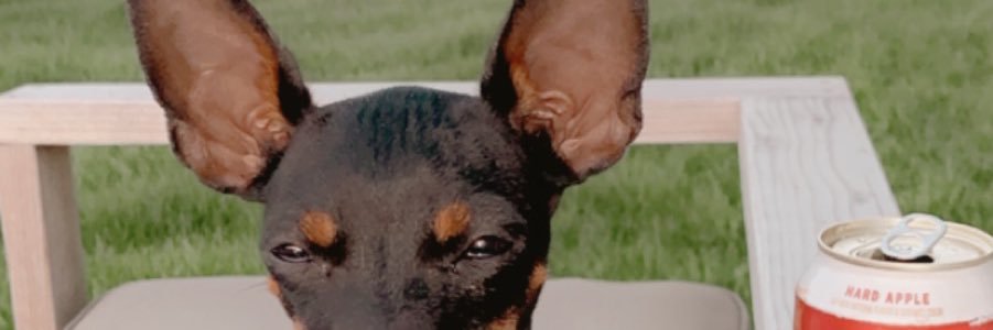 Mermolly's profile banner image