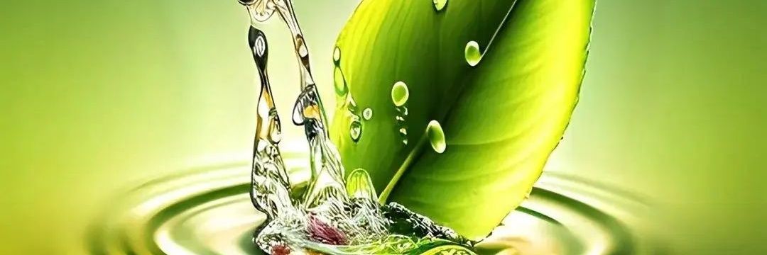 Ruang79's profile banner image