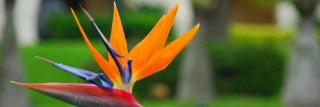 28323150's profile banner image