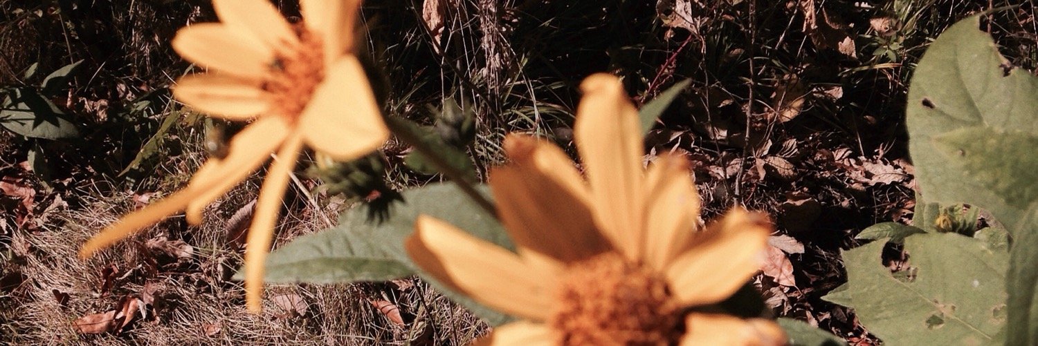 KristieWithA_K's profile banner image