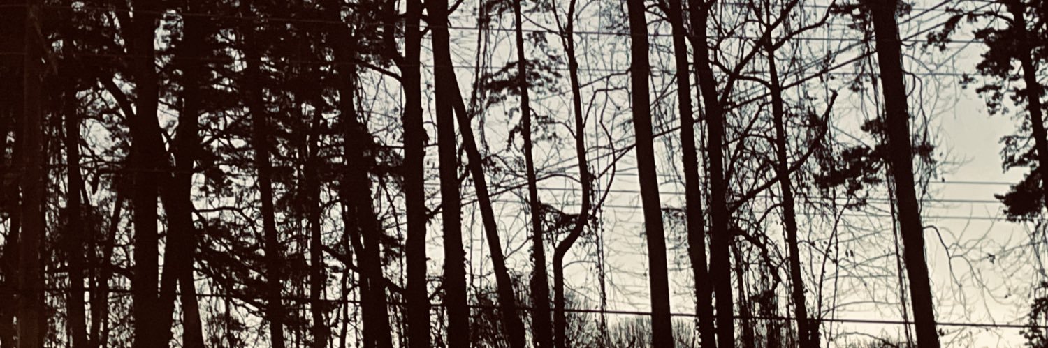 Forever_018's profile banner image