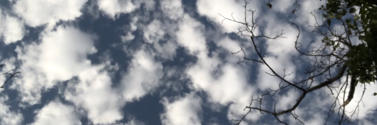 hmamikonian's profile banner image