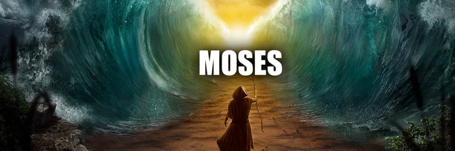 MosesCoins_ERC's profile banner image