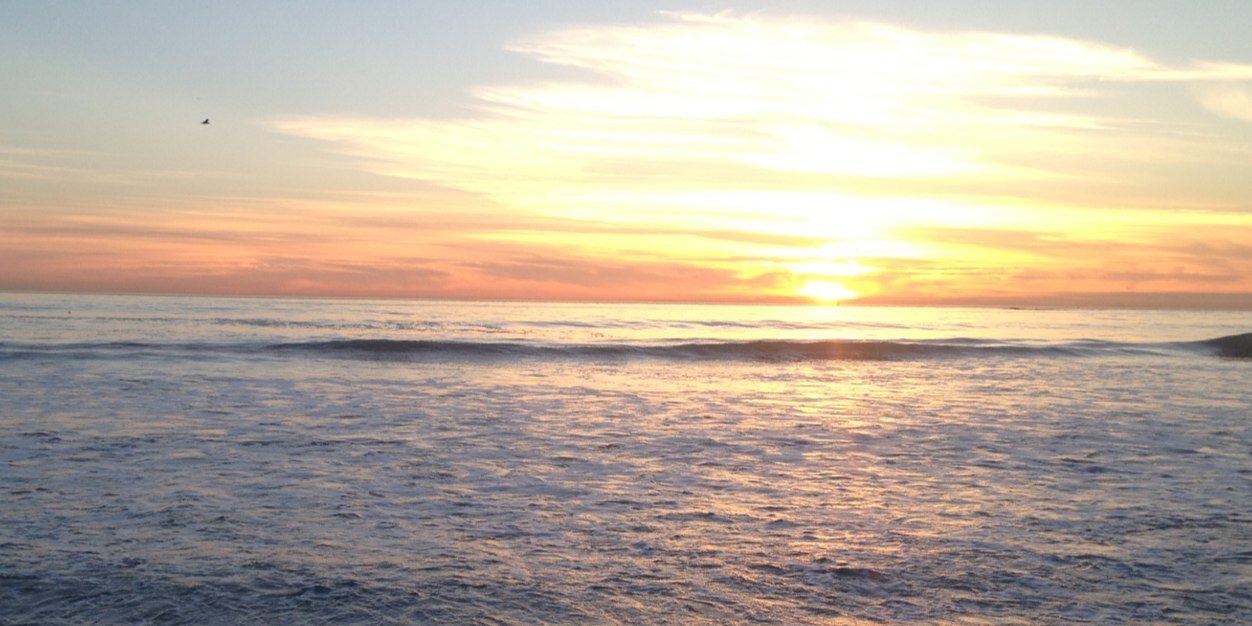 mvolague's profile banner image